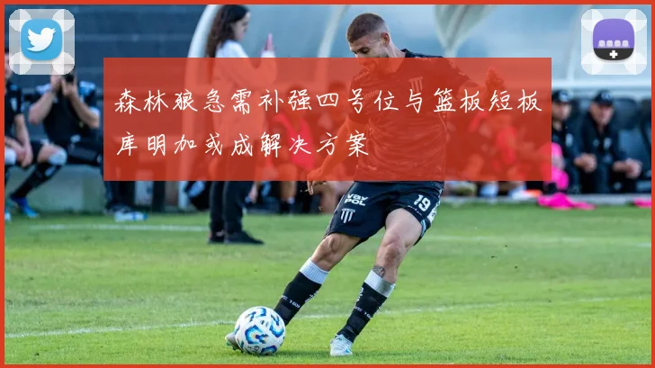 森林狼急需补强四号位与篮板短板库明加或成解决方案